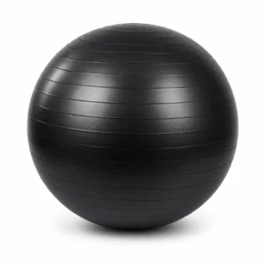 Piłka gimnastyczna 65 cm #4024