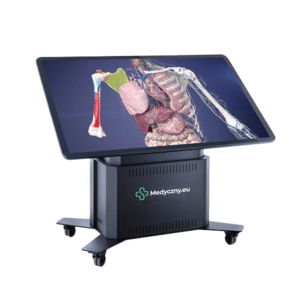 Stół anatomiczny 3D, 65', #STEDU02