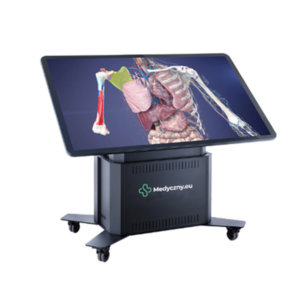 Stół anatomiczny 3D, 65', #STEDU02