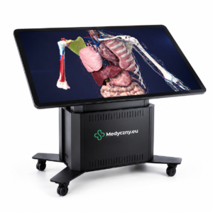 Interactive medical touchscreen display on a wheeled stand showing a detailed human anatomy model with organs exposed.
