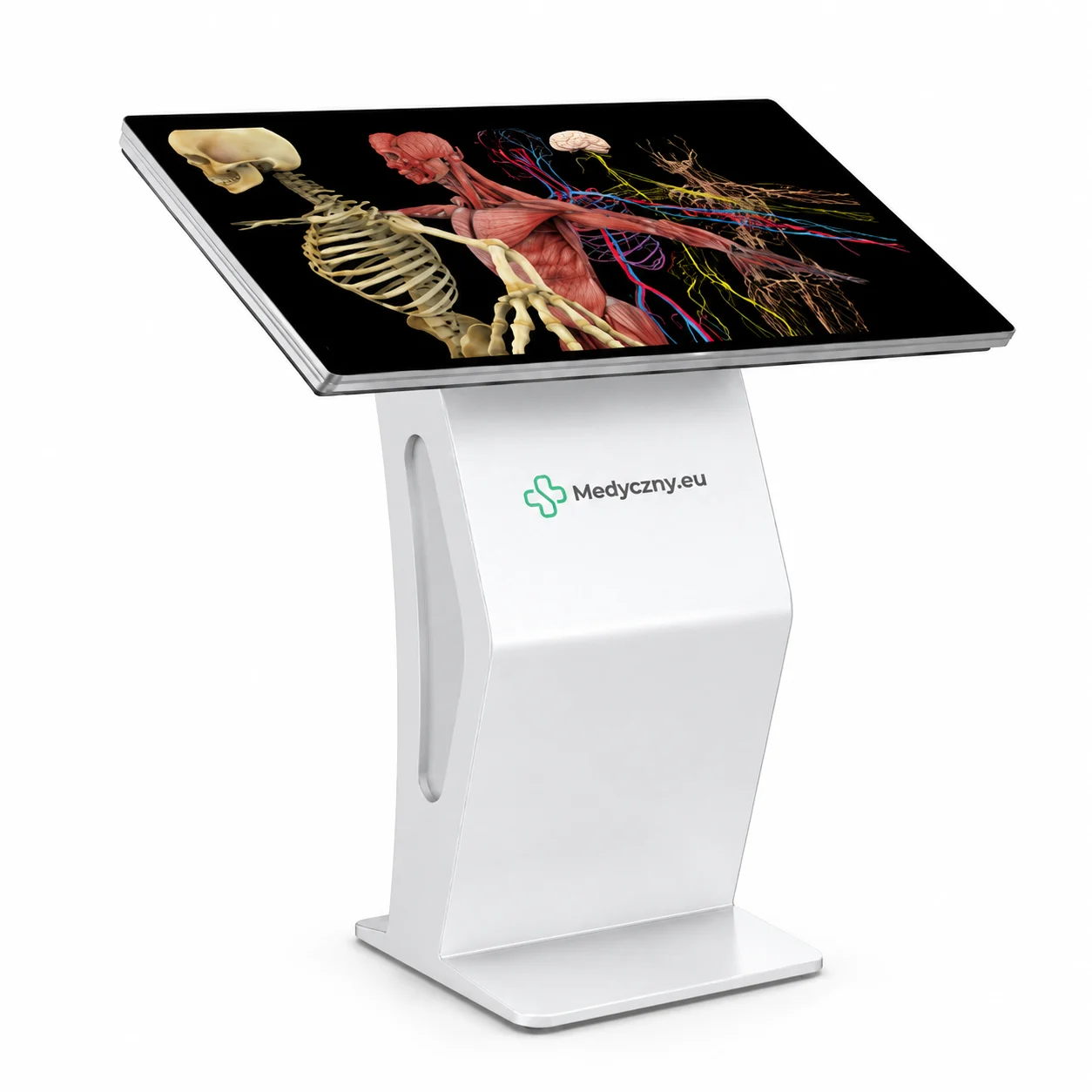 Standing touchscreen medical kiosk showing a detailed human anatomy diagram (skeleton, muscles, nerves) on the display, with 'Medyczny.eu' logo on the stand.