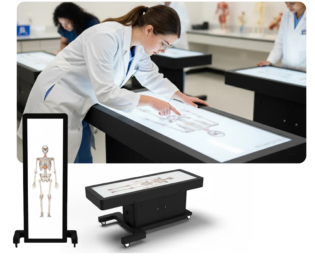 Wirtualny stół anatomiczny 3D