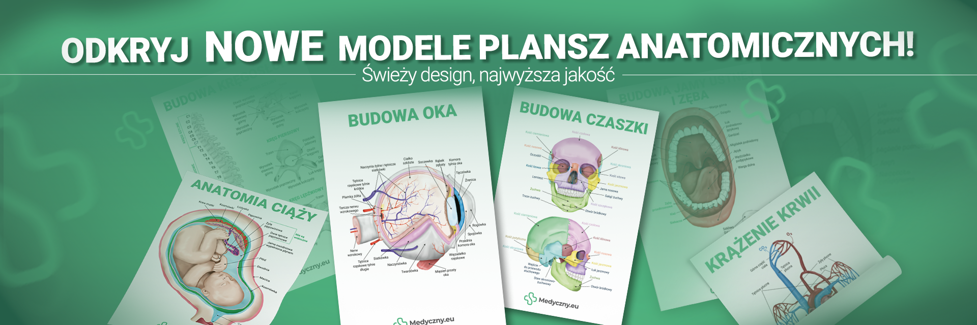 Promotional banner for new anatomy print cards, showing illustrated anatomy posters on a green gradient background.