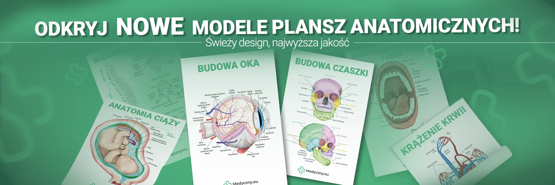 Promotional banner for new anatomy print cards, showing illustrated anatomy posters on a green gradient background.