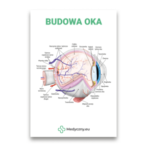 Labeled cross‑section diagram of the eye anatomy in Polish, showing cornea, lens, retina, optic nerve, blood vessels, and surrounding tissues, with Medyczny.eu logo.