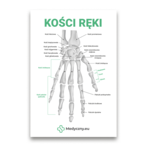 Labeled diagram of a human hand skeleton (palm and fingers) with Polish bone names, logo Medyczny.eu at the bottom.